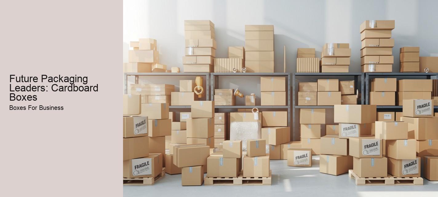 Future Packaging Leaders: Cardboard Boxes