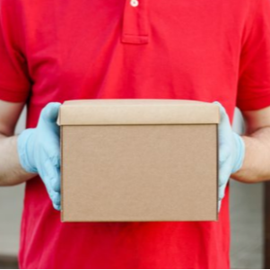 The New Wave: How Emerging Courier Companies Are Challenging Blue Dart and DTDC