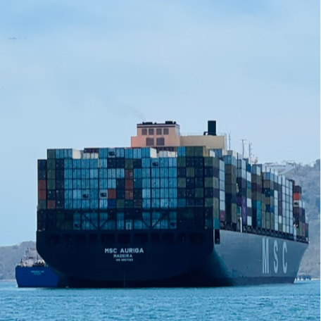 Multi-Carrier Shipping Solutions