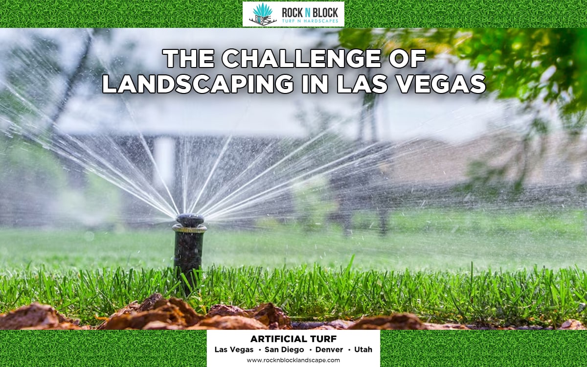 pool landscaping Las Vegas