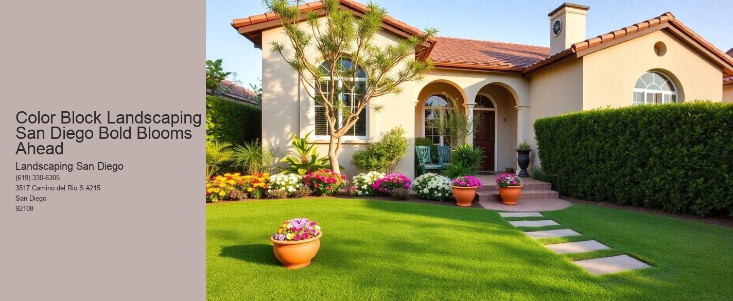 Color Block Landscaping San Diego Bold Blooms Ahead