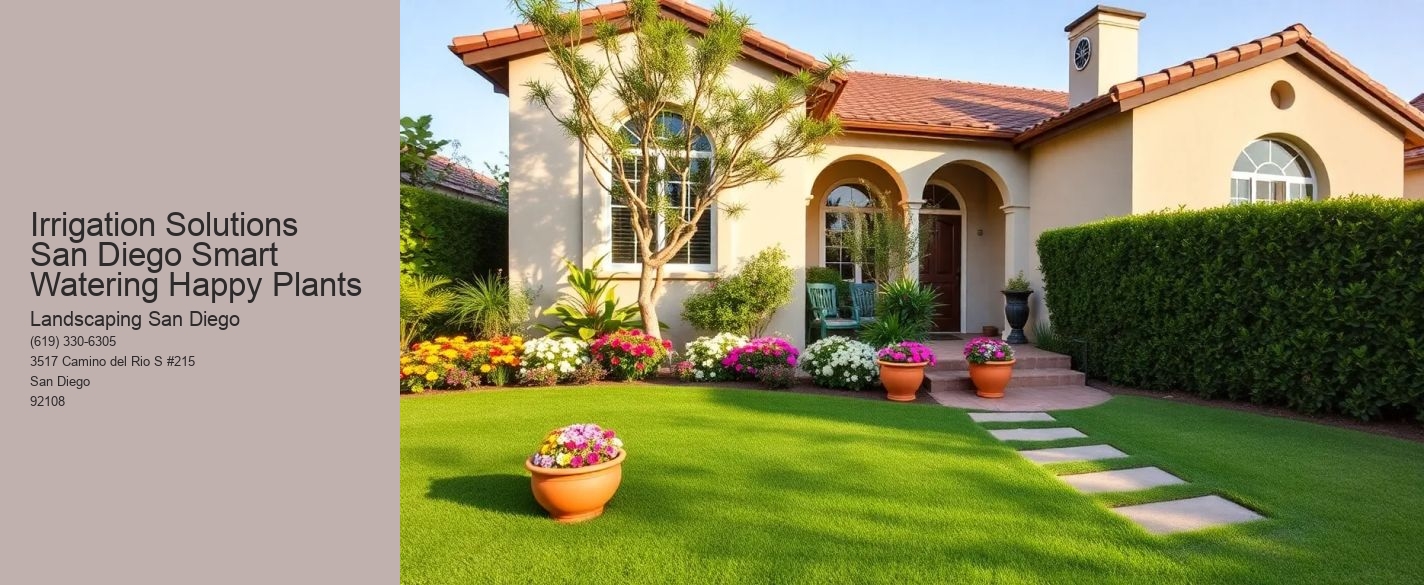 Irrigation Solutions San Diego Smart Watering Happy Plants