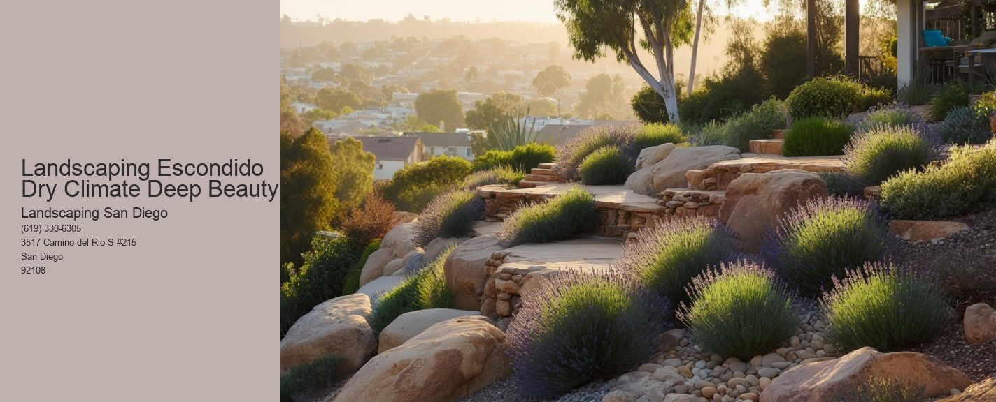 Landscaping Escondido Dry Climate Deep Beauty