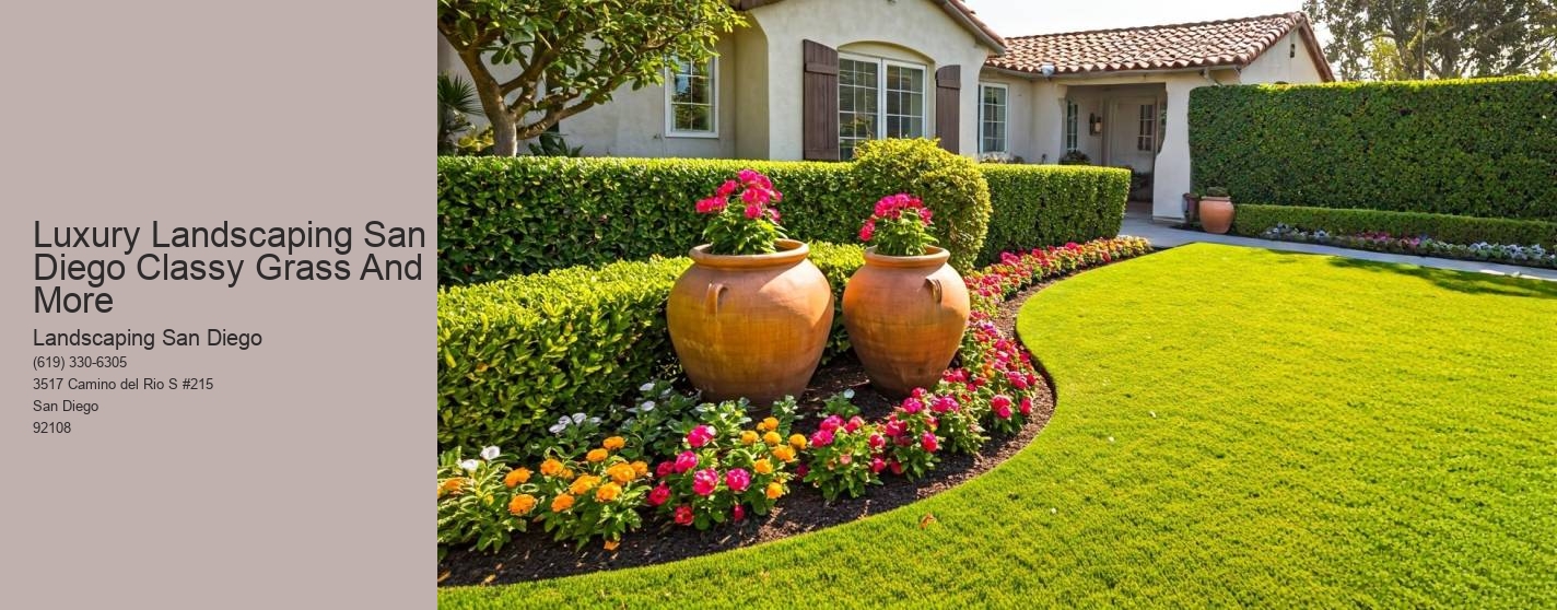 Luxury Landscaping San Diego Classy Grass And More